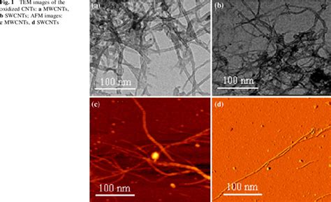 TEM Images Of The Oxidized CNTs A MWCNTs B SWCNTs AFM Images C