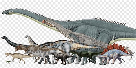 Dinosaur size Morrison Formation Argentinosaurus Stegosaurus Allosaurus ...