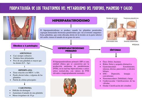 Transtornos Del Metabolismo Del F Sforo Magnesio Y Calcio Vertexmed