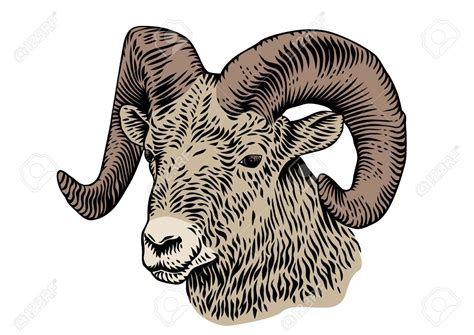 Ram Head Drawing at GetDrawings | Free download