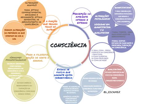 Mapa Mental Consciencia De Classe