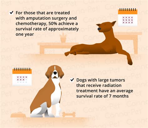 Bone Cancer (Osteosarcoma) in Dogs | Canna-Pet