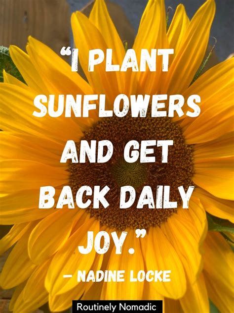 Short Flower Quotes 110 Amazing Flower Sayings Routinely Nomadic