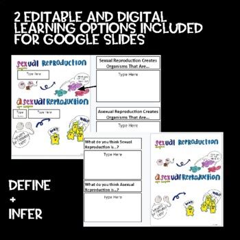 Distance Learning Friendly Anchor Charts Sexual Vs Asexual Reproduction