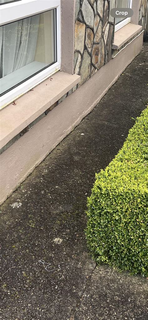 Advice on how to seal gap between footpath and house? Just some mortar
