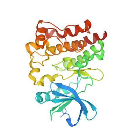 Gene Q Protein Btk Overview Cansar Ai