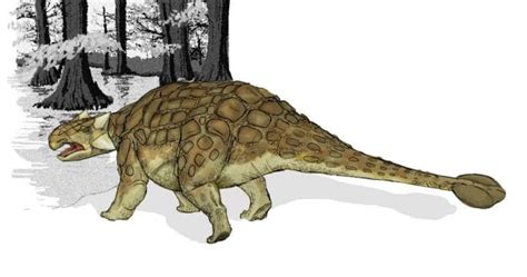 Fun Facts about Ankylosaurus - Dinosaur Facts