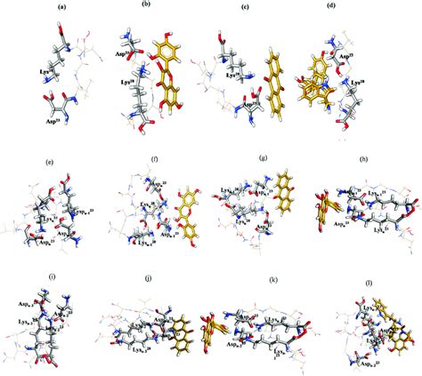 Optimized Geometry Of Monomer A Dimer I E And Dimer Ii I Morin