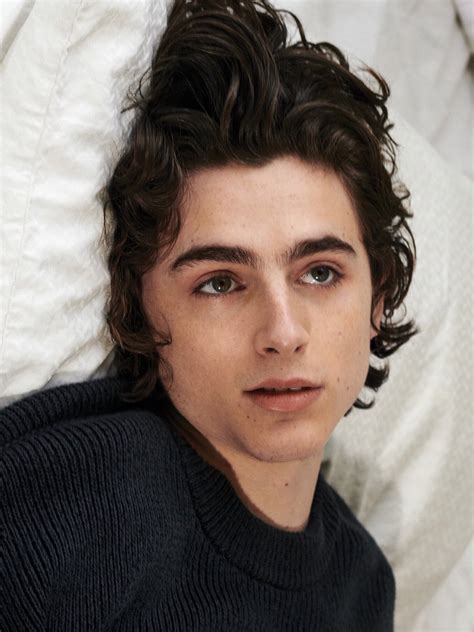 Timothee Chalamet Photoshoot / Timothée Chalamet, Photoshoot by Collier ...