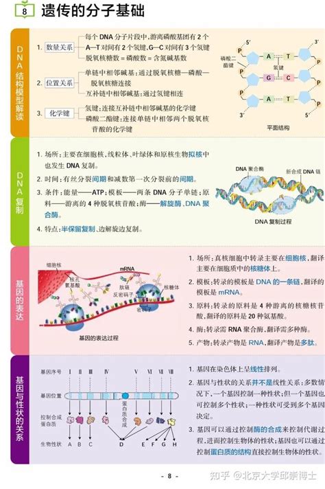 高中生物知识点总结：必修1 3知识点汇总 重难点知识图解 高频考点 50个易错知识点 常考知识点（划重点版），持续更新中 知乎