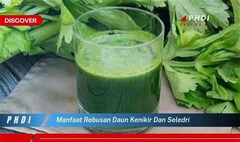 Temukan 7 Manfaat Rebusan Daun Kenikir Dan Seledri Yang Jarang Diketahui