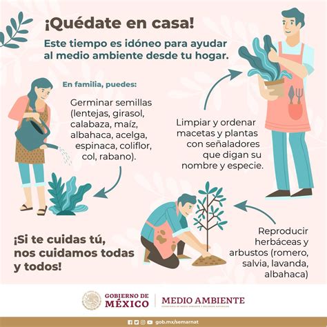 Semarnat México On Twitter Quédateencasa Este Tiempo De Sanadistancia Es Idóneo Para