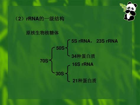 生物化学 杭州职业技术学院 Ppt Download