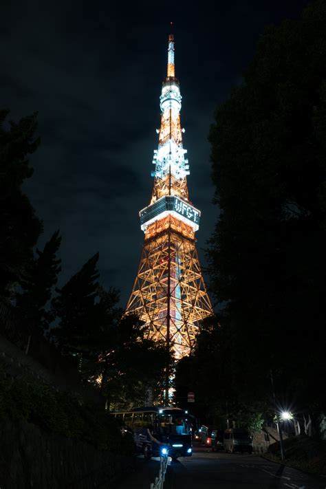 Tapety Japonsko noc architektura odraz večer věž Vánoční strom