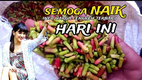 Semoga Semakin Naik Harga Cengkeh Terbaru April 2024 YouTube