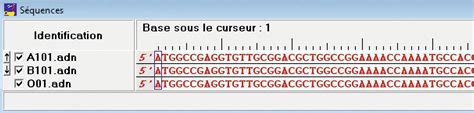 Apprendre en résolvant des énigmes en équipe Lelivrescolaire fr