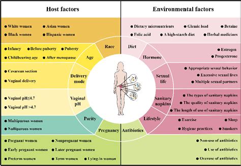 Figure From Deciphering The Role Of Female Reproductive Tract