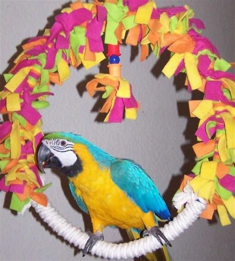 Parrot Island Bird Toys Rainbowswing Diy Bird Toys Parakeet Toys