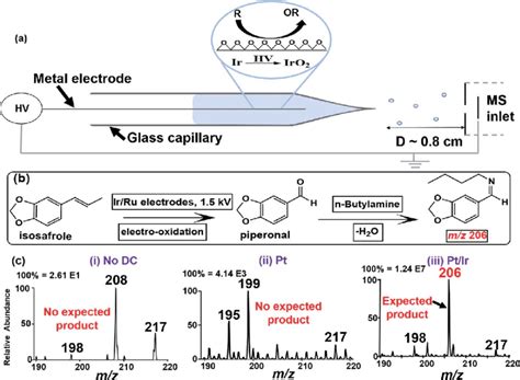 A Schematic Illustration Of The Integrated Electrocatalytic Nesi Ms