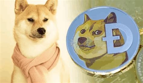 Dogecoin Community Mourns As Kabosu Iconic Shiba Inu Passes Away