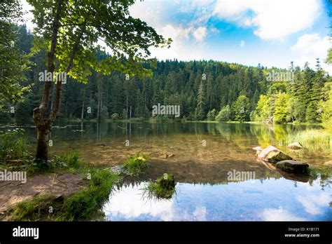 maix  res stock photography  images alamy