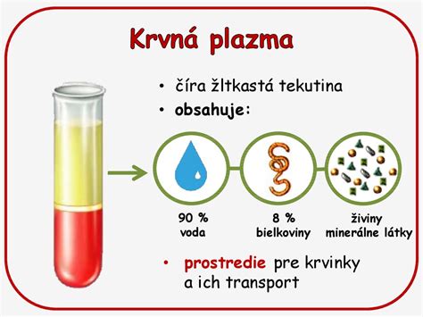 Obehov S Stava