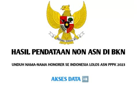 BKN Beri Hasil Pendataan Nonasn Bkn Go Id Nama Nama Se Indonesia