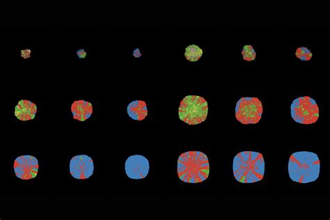 156 Mathematical Oncology