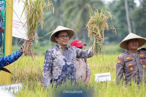 Sinergi Penguatan Ketahanan Pangan Berbasis Pertanian Berkelanjutan