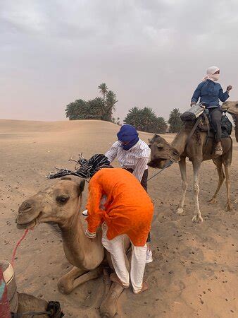 Morocco Desert Trek Days Tours Merzouga Qu Saber Antes De