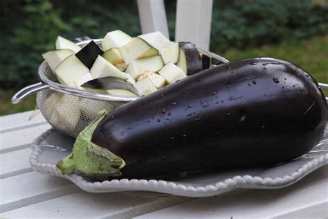 Carbs And Eggplant at Olivia Quinn blog