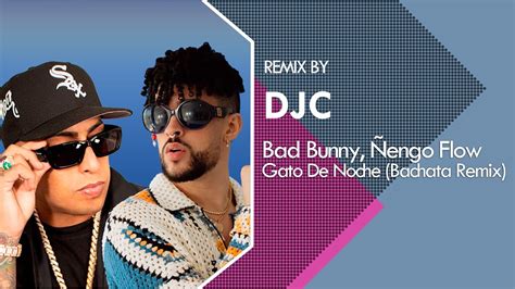 Engo Flow Bad Bunny Gato De Noche Bachata Remix Djc Youtube Music