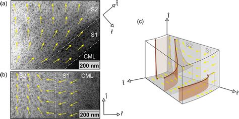 The Structural Origins Of Wood Cell Wall Toughness Maaß 2020 Advanced Materials Wiley