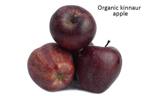 Organic - Apple Kinnaur