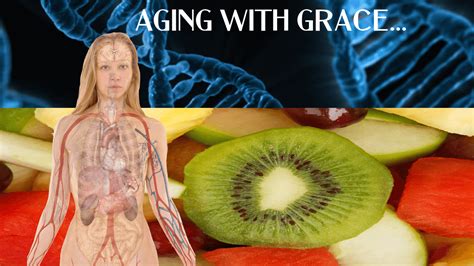 A Healthy Intake Of Micronutrients Anti Aging Leveraging Biohacking