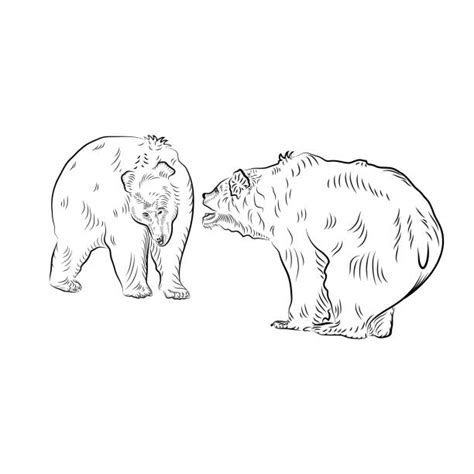 60+ Growling Grizzly Bear Drawings Stock Illustrations, Royalty-Free ...