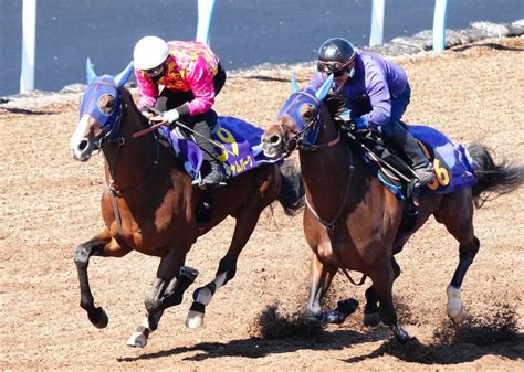 【大阪杯】ローシャムパーク タメ利いた走り、田中博師「大きな舞台で勝ち負けできる馬」― スポニチ Sponichi Annex ギャンブル