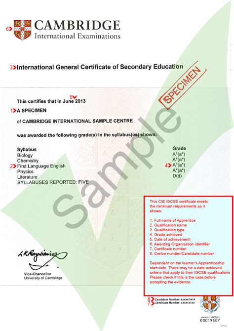 Cie Igcse Final Ace Website