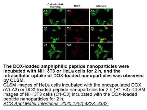 Apexbio Doxorubicin Topo Ii Inhibitor Immunosuppresive