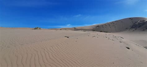 Dunes Gurun Pasir - Foto gratis di Pixabay - Pixabay