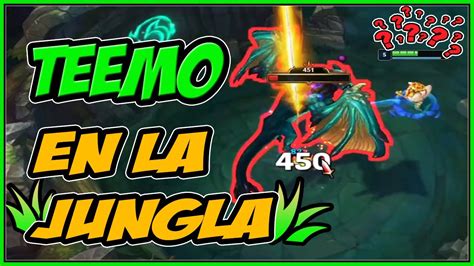 Como Jugar Teemo Jungla No Es Troll League Of Legends Youtube