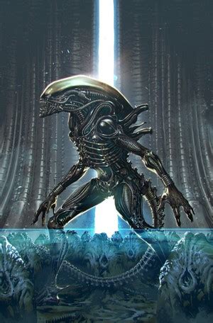 Xenomorph Horror Creature Aliens HD Phone Wallpaper Rare Gallery