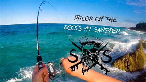 Spearfishing And Fishing The Gold Coast And Tweed Snapperd Bar 1000