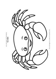 Coloriage crabe à imprimer PDF Dessin de crabe à colorier gratuit