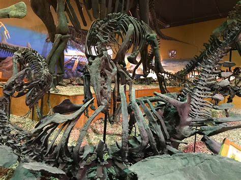 Wyoming Dinosaur Center | Natural Atlas