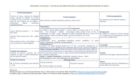 Hne Y Np Gastroenteritis Por Rotavirus Historia Natural Y Niveles De