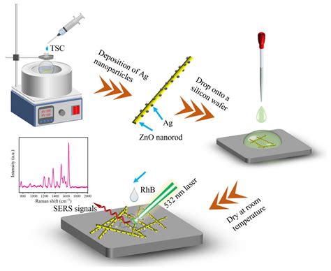 Nanomaterials Free Full Text Ag Nanoparticles Decorated Zno Nanorods As Multifunctional Sers