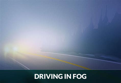 9 Great Tips To Survive Driving In Fog Zutobi Drivers Ed