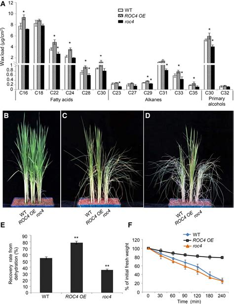 Figure 4 From The E3 Ligase DROUGHT HYPERSENSITIVE Negatively Regulates