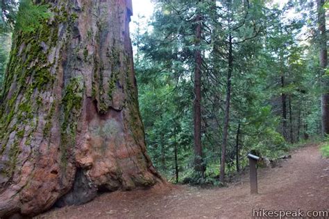 Hikes In Sierra National Forest